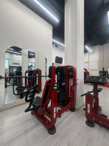 عکس باشگاه vip باتیس