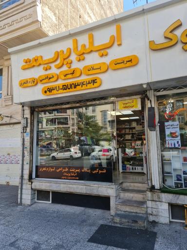 عکس ایلیا پرینت