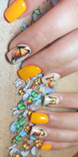 عکس خدمات ناخن راییکا