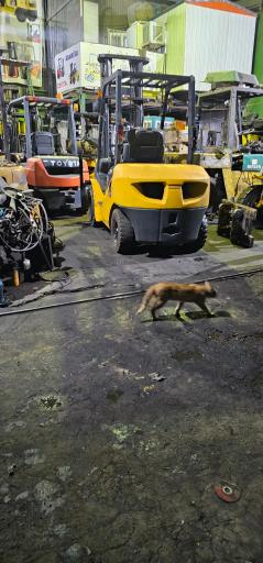 لیفتراک ایران