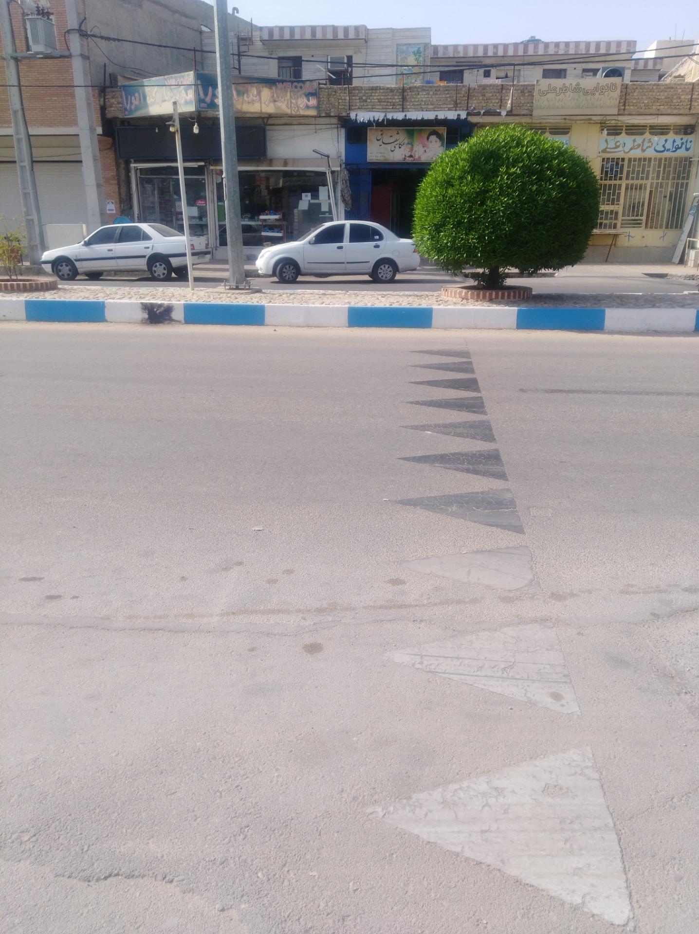 عکس عکاسی شقایق