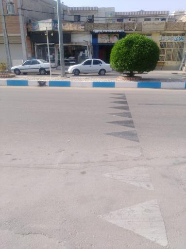 عکس عکاسی شقایق