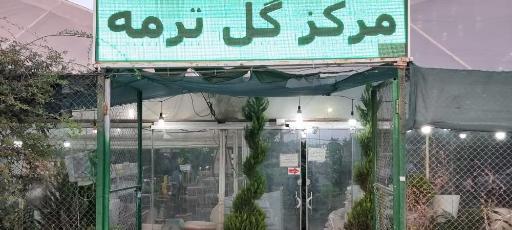 عکس مرکز گل ترمه