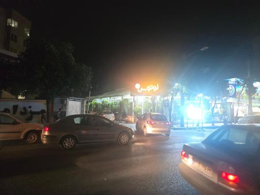 عکس گل فروشی لوتوس