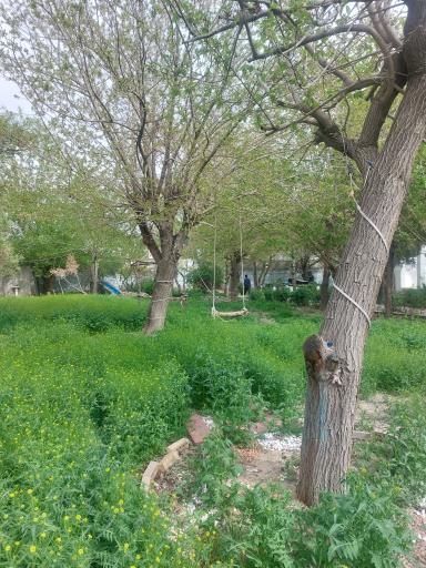 عکس باغ فرهنگی خاکبیز (بنیامین)