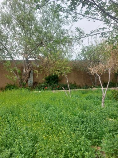 عکس باغ فرهنگی خاکبیز (بنیامین)