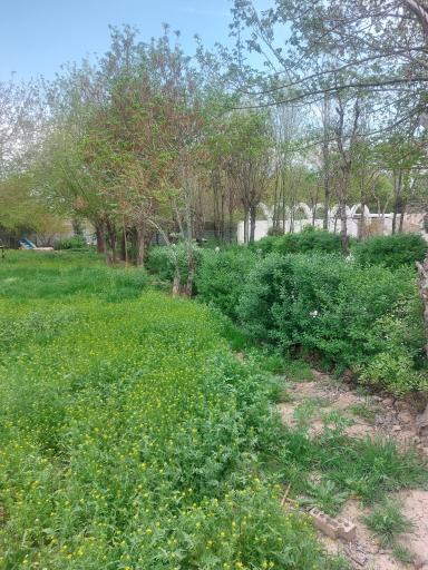 عکس باغ فرهنگی خاکبیز (بنیامین)