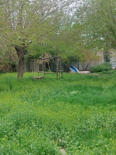 عکس باغ فرهنگی خاکبیز (بنیامین)