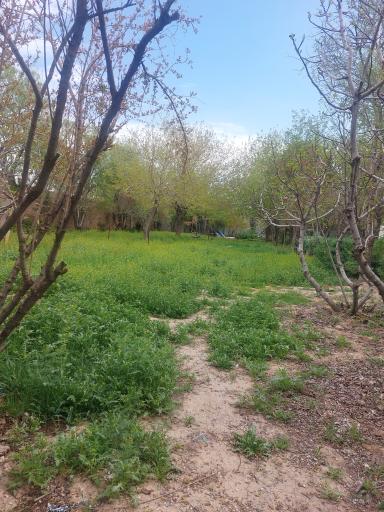 عکس باغ فرهنگی خاکبیز (بنیامین)