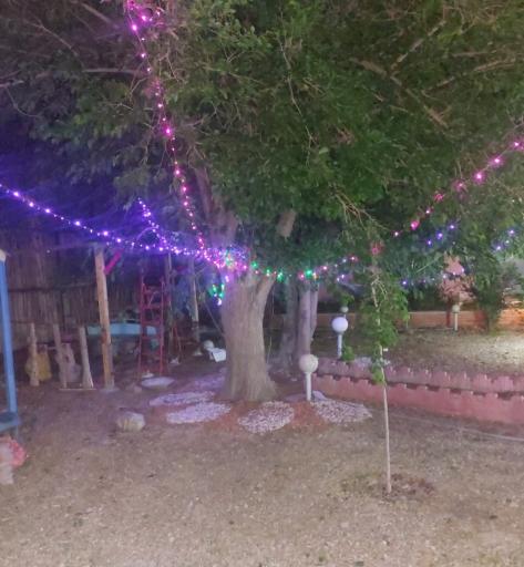 عکس باغ فرهنگی خاکبیز (بنیامین)