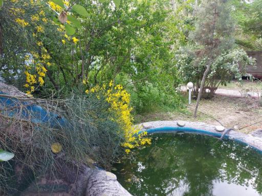 عکس باغ فرهنگی خاکبیز (بنیامین)