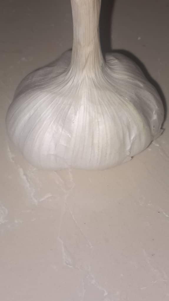 عکس تجارت خانه عالمی پور