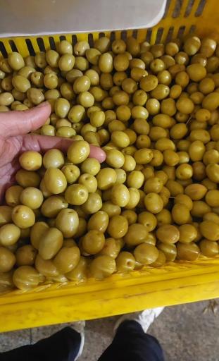 عکس فروش روغن زیتون برند ۰۱۳