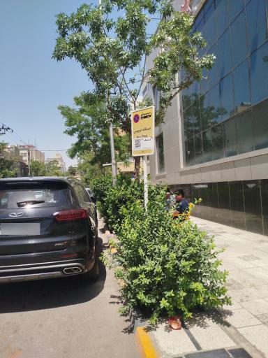 عکس بزرگمهر 13