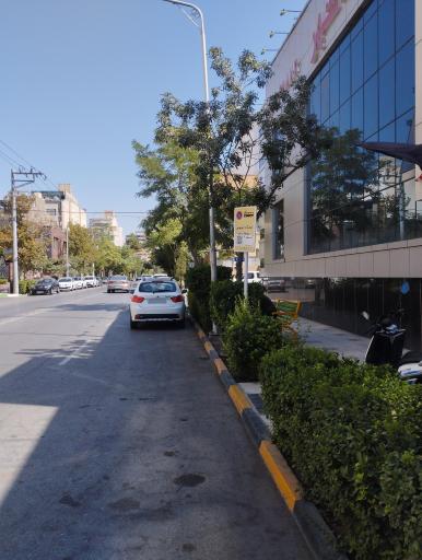 عکس بزرگمهر 13