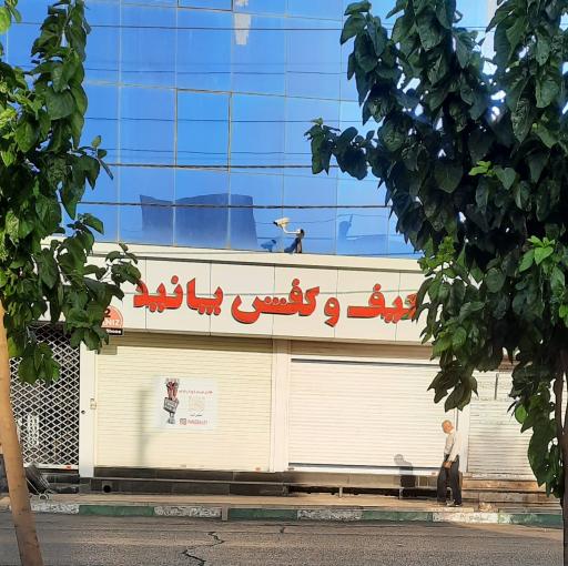 کیف و کفش پانیذ