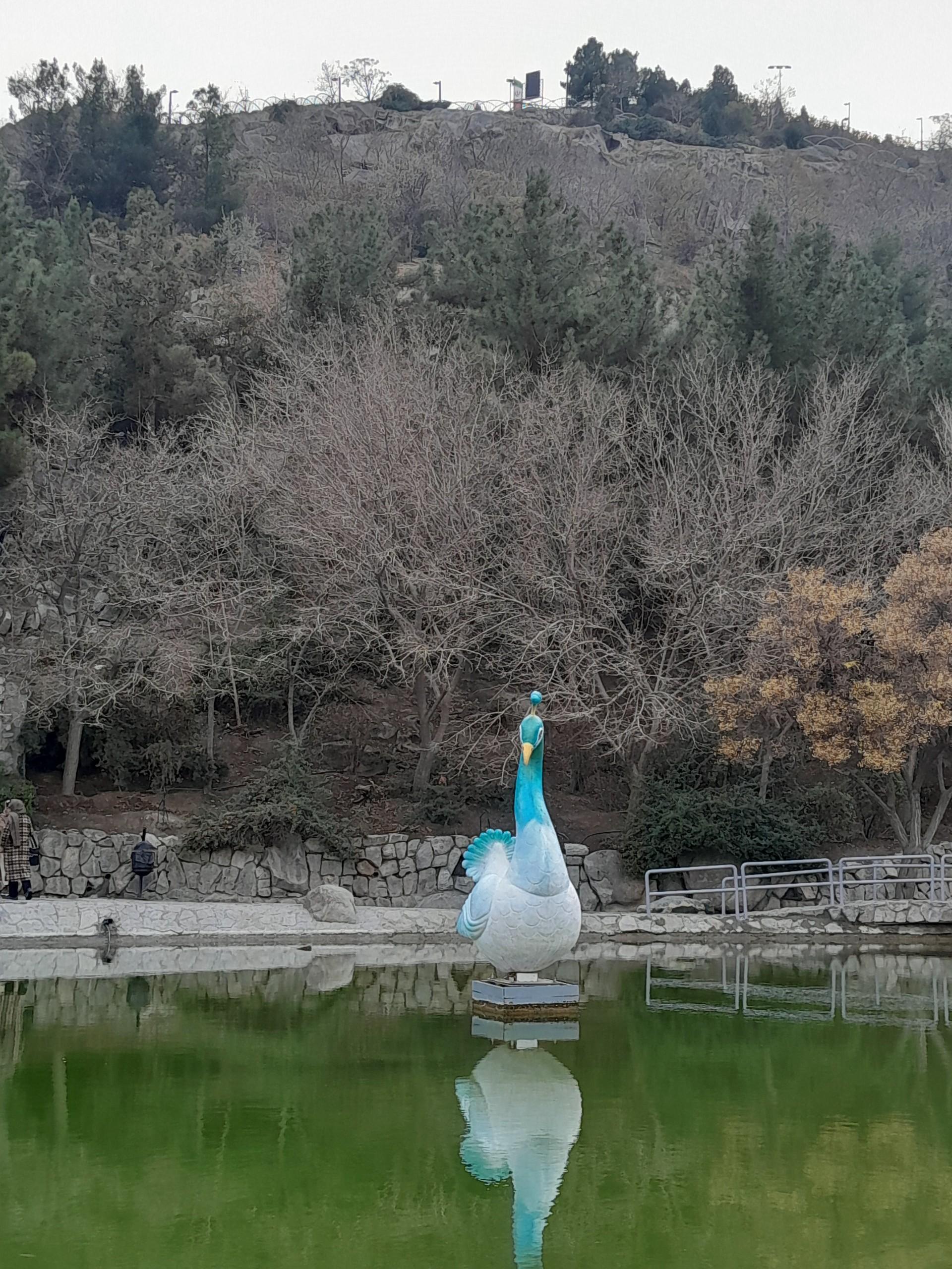 عکس آبشار کوهسنگی 