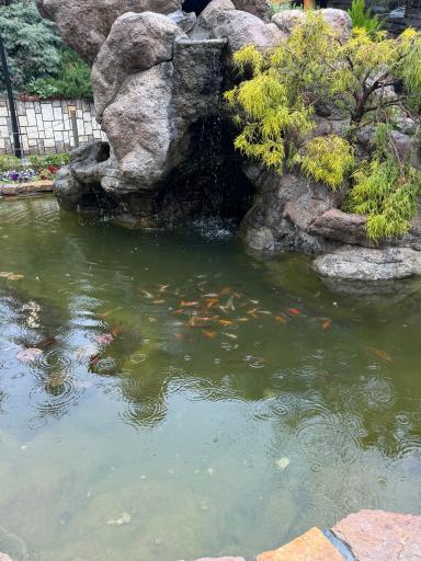 عکس رستوران الماس گلستان