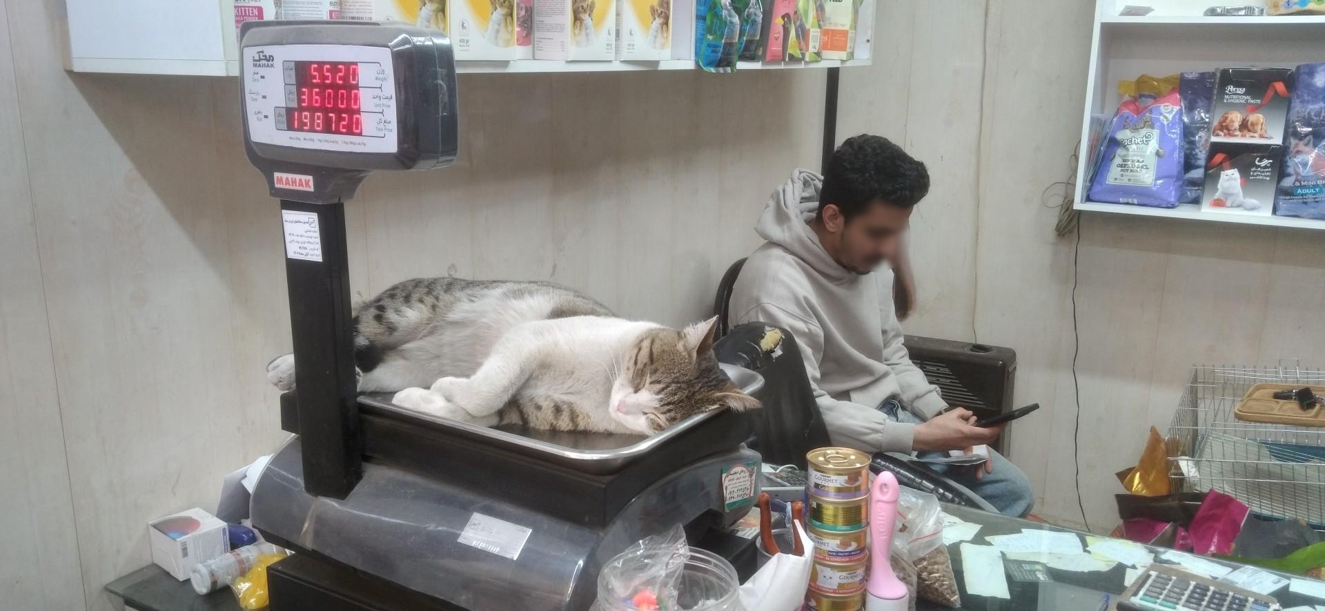 عکس پت شاپ سهیل