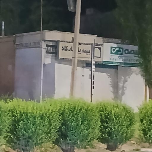 عکس بیمه دی 