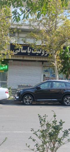 عکس الکتریکی یاسایی