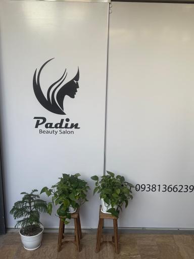 عکس سالن پادین