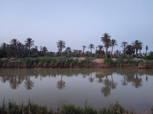 عکس بلوار ساحلی بهمنشیر