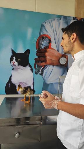 عکس کلینیک و داروخانه دامپزشکی دکتر صفار