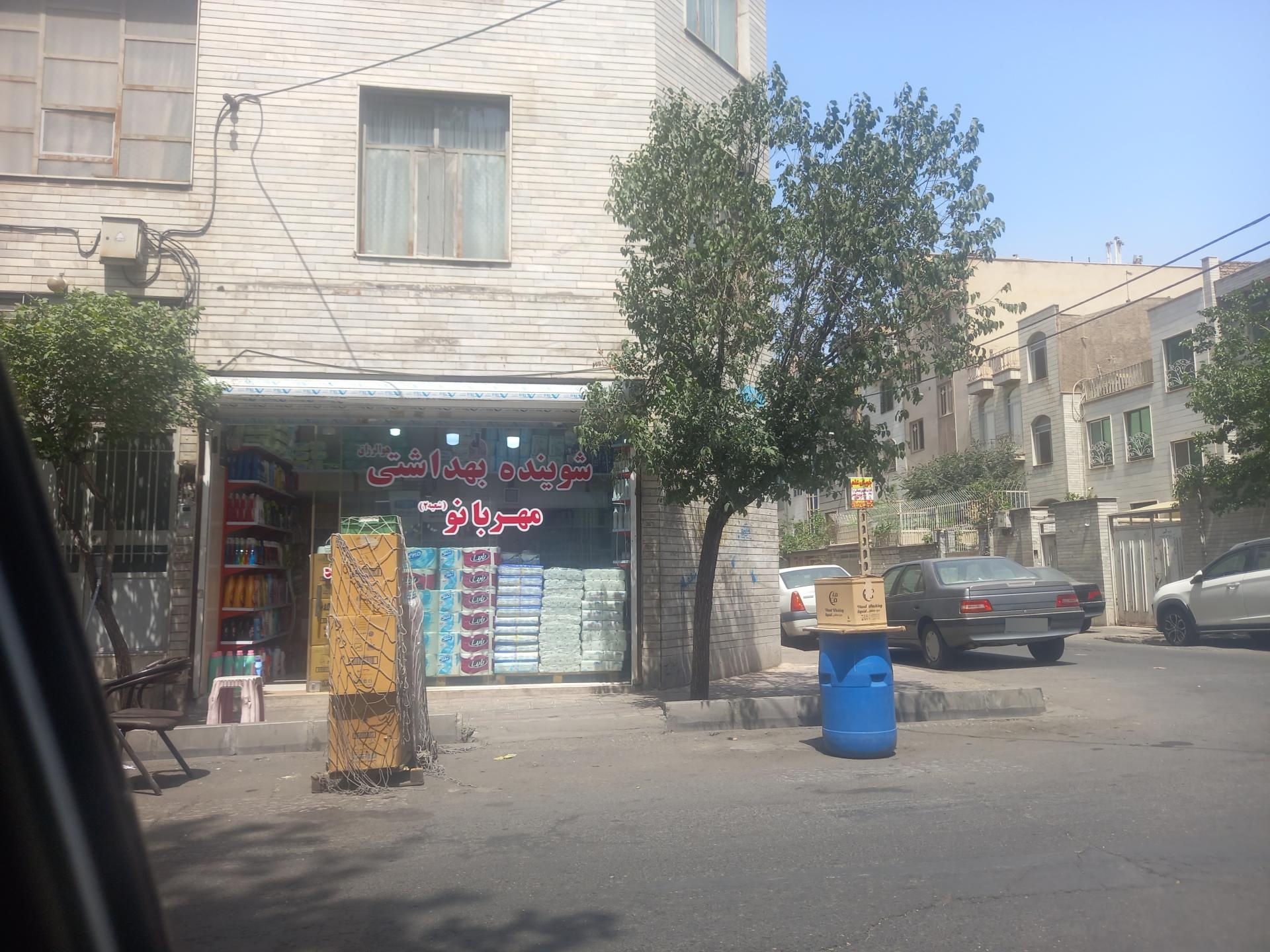 عکس شوینده بهداشتی مهربانو