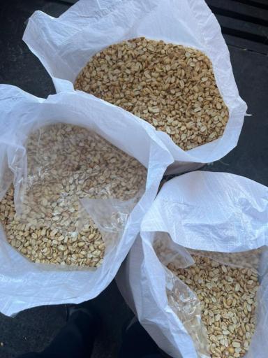 عکس فروشگاه بادومک