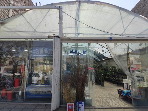 عکس گلخانه هشت بهشت