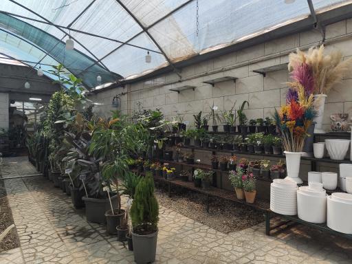 عکس گلخانه هشت بهشت