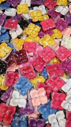 عکس پخش شاهکار