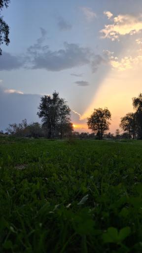 عکس کهنوج