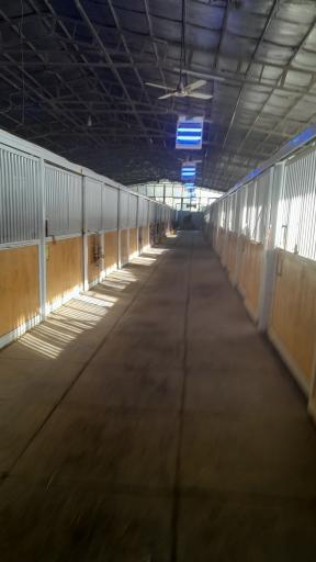 عکس باشگاه سوار کاری دشت بهشت