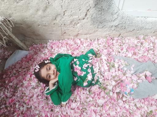 عکس لایزنگان