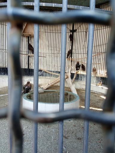 عکس باغ پرندگان