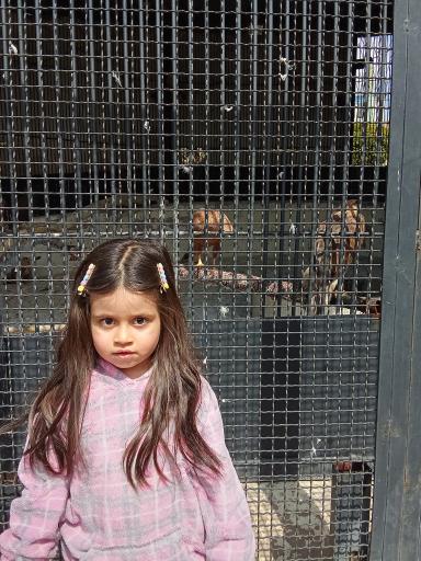 عکس باغ پرندگان