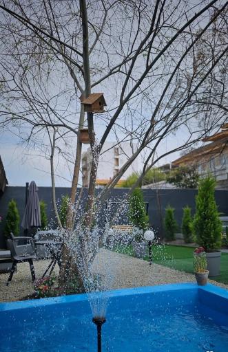 عکس کافه مادو