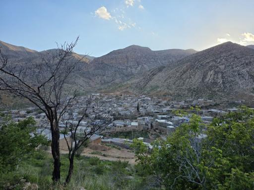 عکس لایزنگان