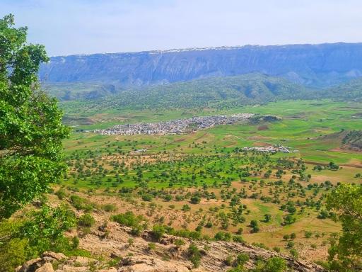 عکس بدره