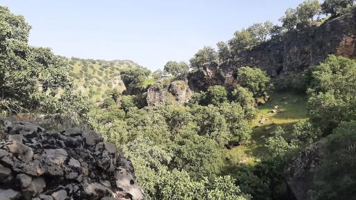 عکس بدره