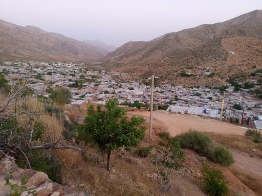 عکس لایزنگان