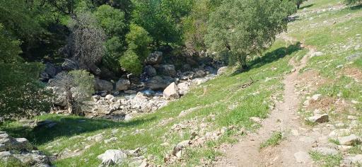 عکس بدره