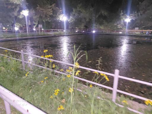 عکس استخر جنوبی پارک وکیل‌آباد