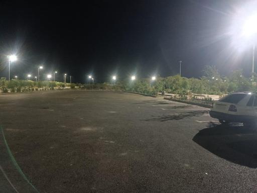 عکس باغ تندرستی