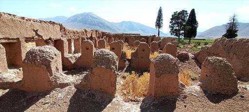 عکس لایزنگان