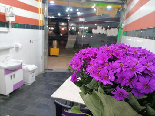 عکس فست فود امیر