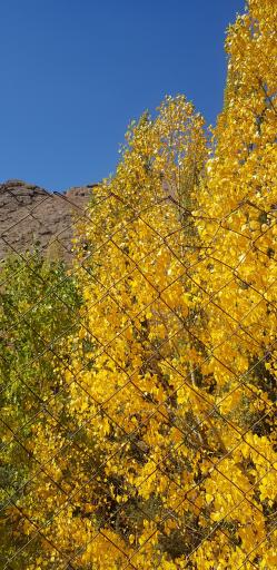 عکس چشمه سیاوش دربندسر