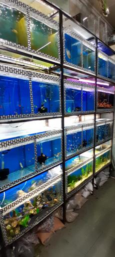 عکس فروشگاه اکواریوم ستاره